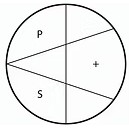 P + S