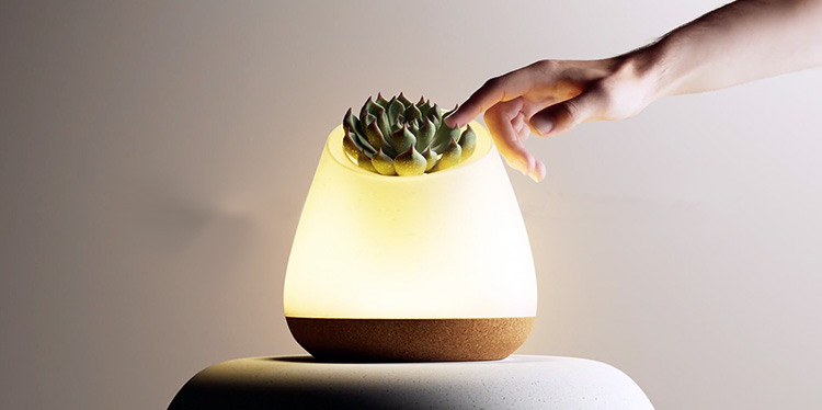 Lámpara interactiva que se ilumina al tocar una planta