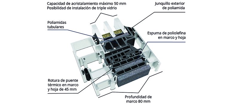 Cortizo 1