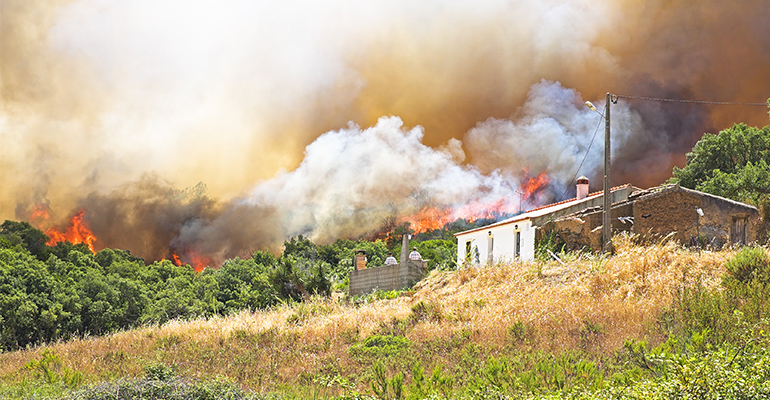 Cgate asesoramiento afectados incendios - DPArquitectura