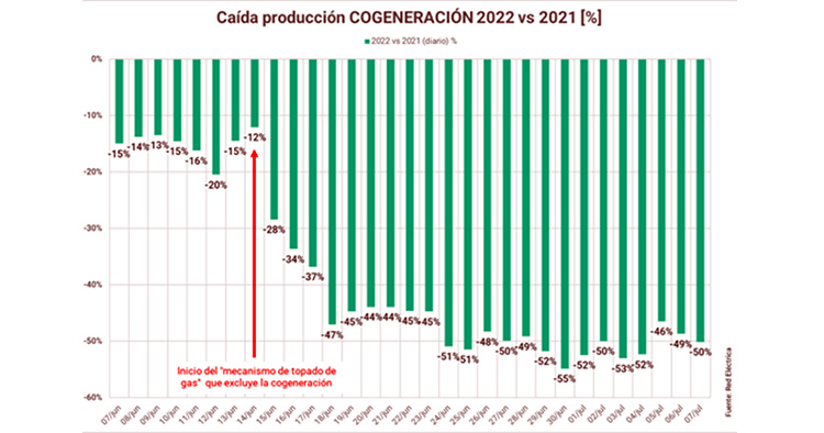 Los cogeneradores piden amparo a la Comisión Europea