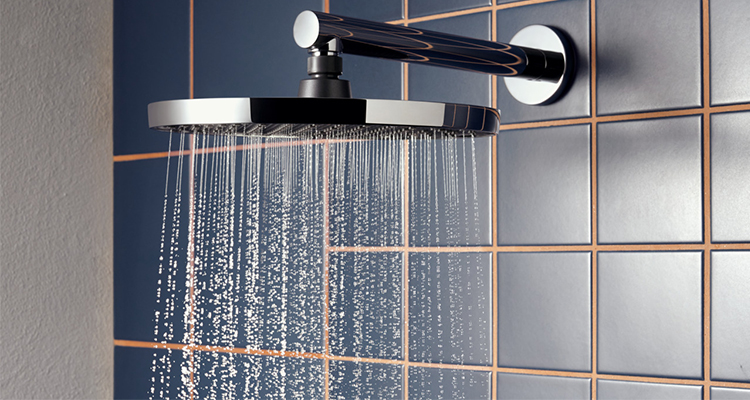 Ducha presion agua Hansgrohe Activera 3