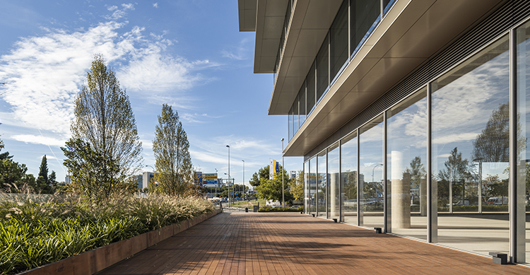 Tarima de bambú para un edificio de oficinas de Madrid