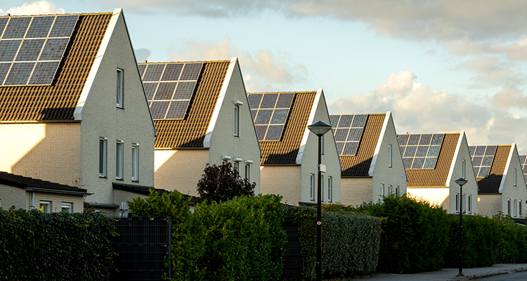 ¿Qué tipos de paneles solares existen y qué ventajas tienen?