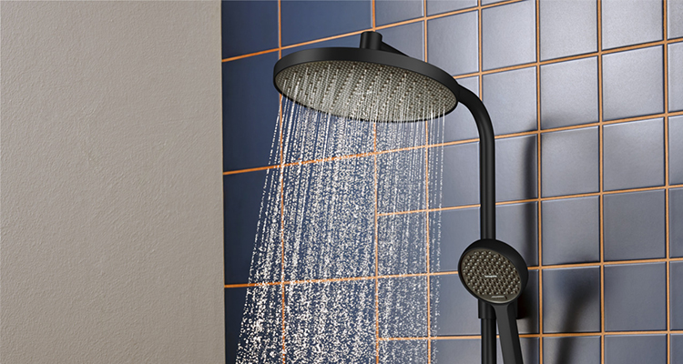 Ducha presion agua Hansgrohe Activera 4