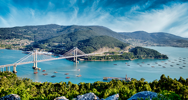 Vigo