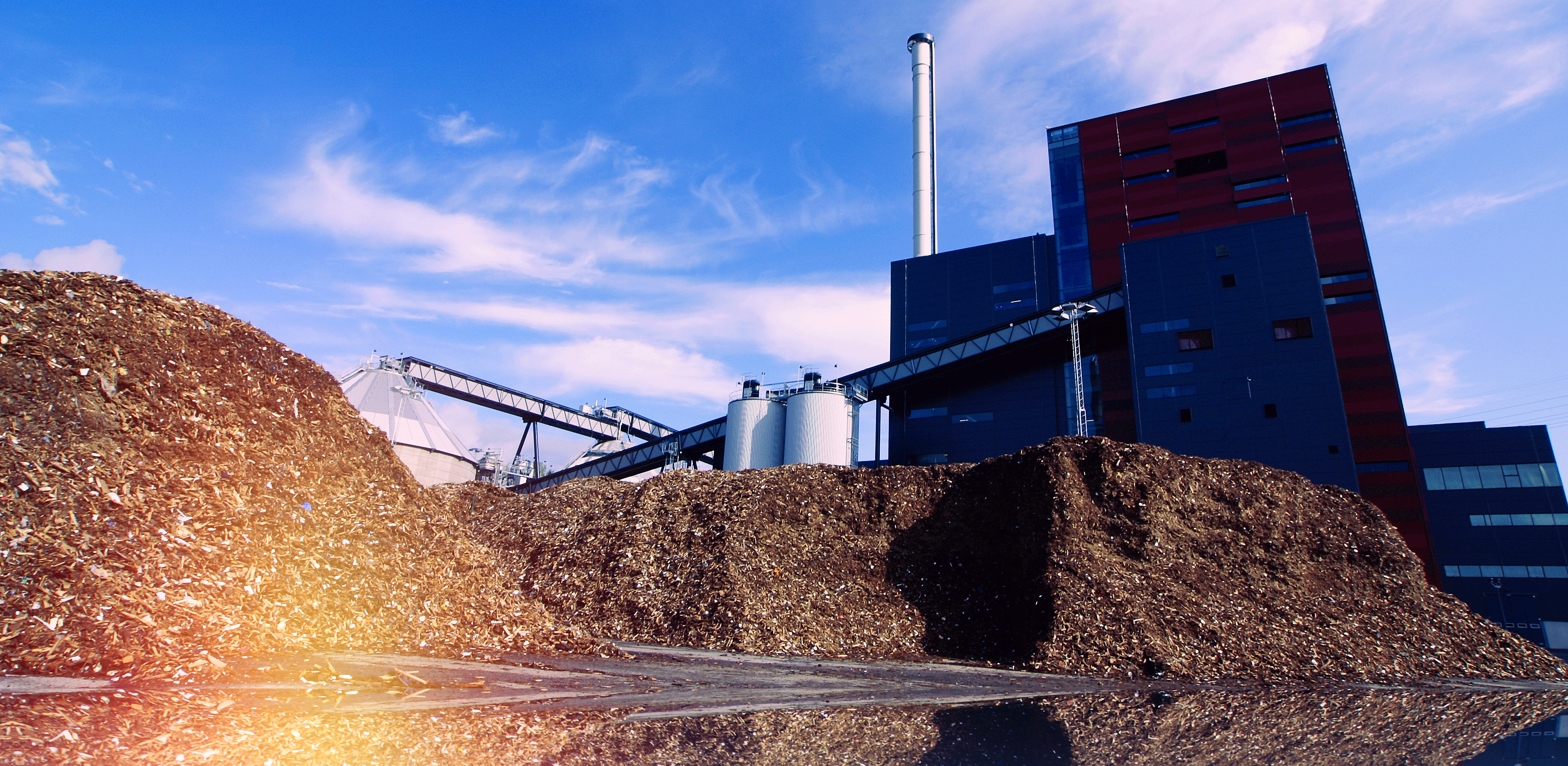 Andalucía lidera el sector de la biomasa de calefacción con un volumen de negocio de 177 millones 