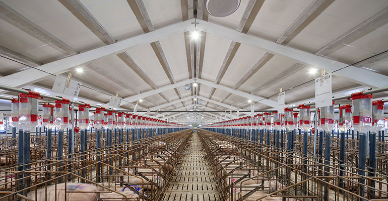 Isopan cubre una granja con más de 16.000 metros cuadrados, garantizando el confort de los animales