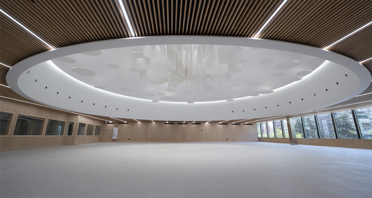 Ecophon Palacio Congresos Madrid - DPArquitectura