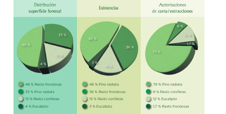 Presentado el libro blanco de la madera de Euskadi